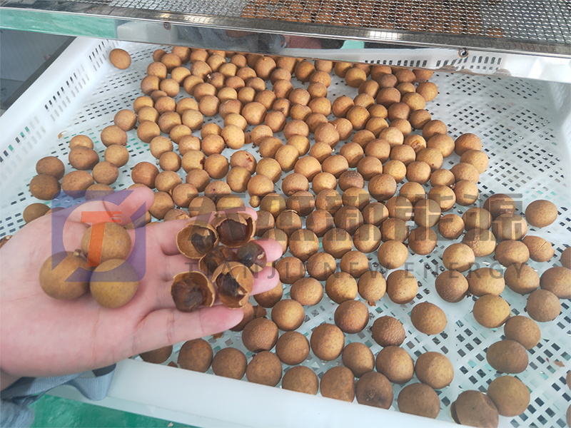 天杰新能源?；葜蔟堁酆娓蓹C開機大吉